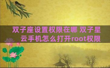 双子座设置权限在哪 双子星云手机怎么打开root权限